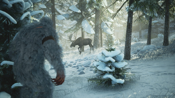 寻找大脚怪.BIGFOOT