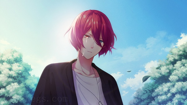 B-项目：流星幻想曲.B-Project: Ryuusei Fantasia