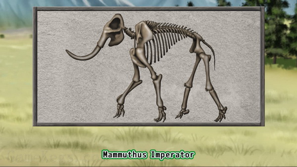 史前生命谜题.Prehistoric Life Puzzles