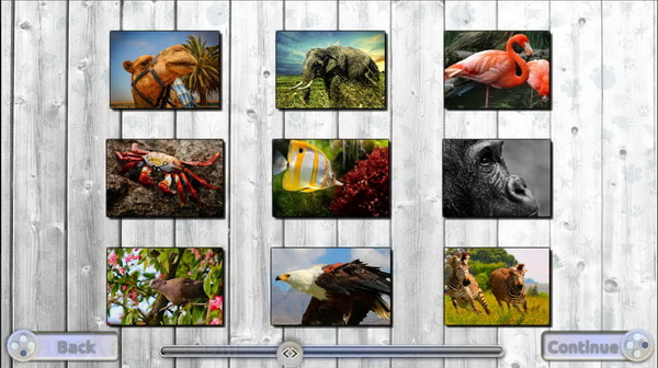 快乐拼图：迷人的动物.Jigsaw Fun Amazing Animals
