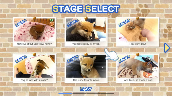 Pixel Game Maker Series Shiba Mekuri