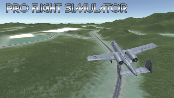 专业飞行模拟器.Pro Flight Simulator
