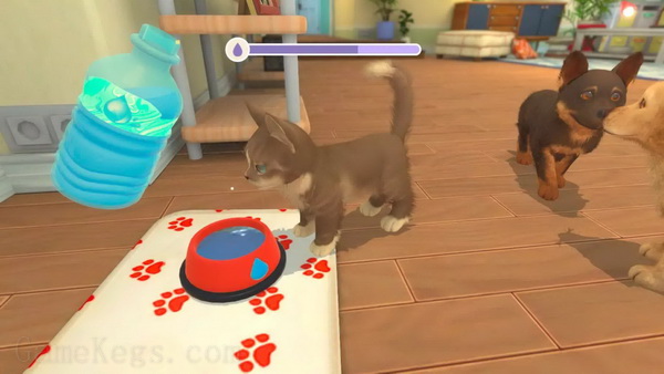 我的宇宙：小猫小狗.My Universe: Puppies and Kittens