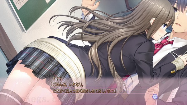 完整之吻S.Furu Kiss S