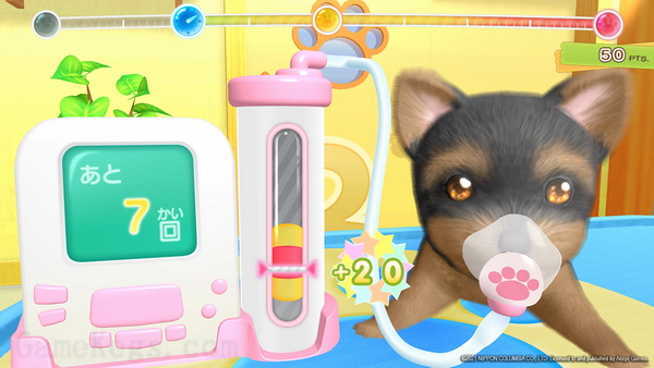 汪汪喵喵动物医院.Pups & Purrs Animal Hospital