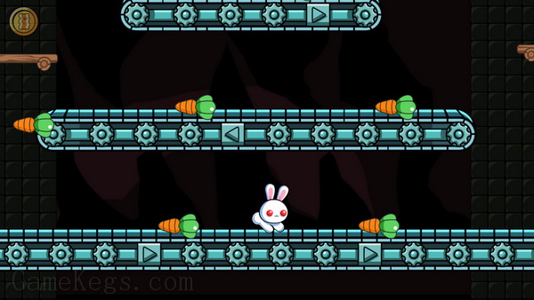 美丽奇异兔子.A Pretty Odd Bunny