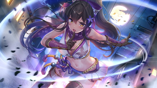 与美少女忍者的同居生活.NinNinDays