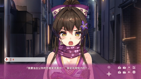 与美少女忍者的同居生活.NinNinDays