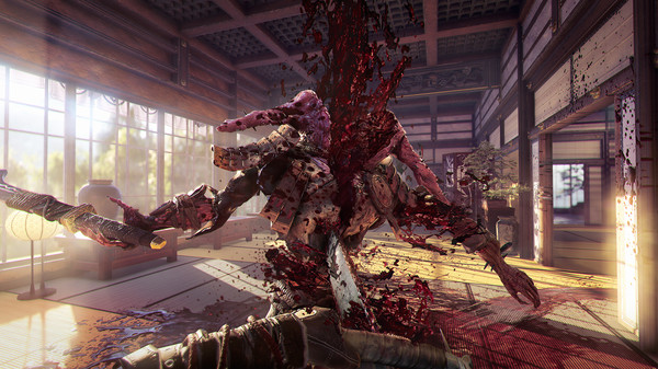 影子武士2：豪华版.Shadow Warrior 2 Deluxe
