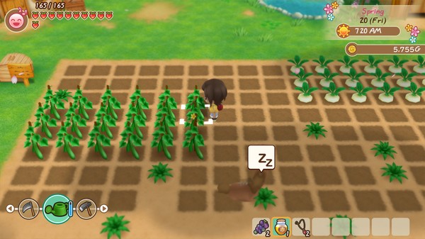 牧场物语：重聚矿石镇.STORY OF SEASONS: Friends of Mineral Town