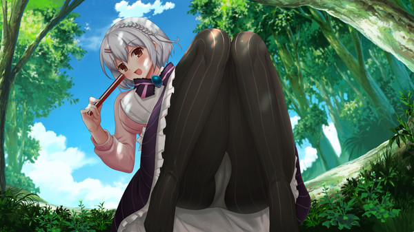 沉睡的妻子们.Waifus Smash