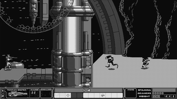 Rogue Invader