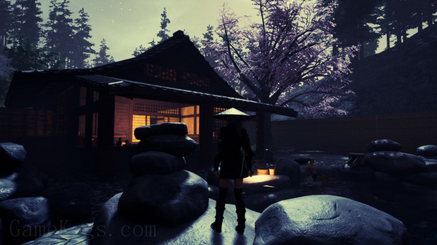 忍者传：三好家的陨落.Tale of Ninja Fall of the Miyoshi