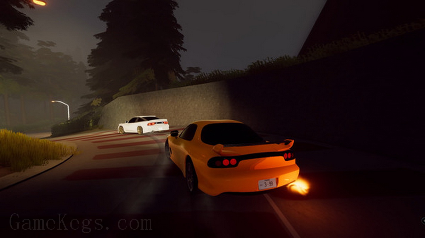 Midnight Driver