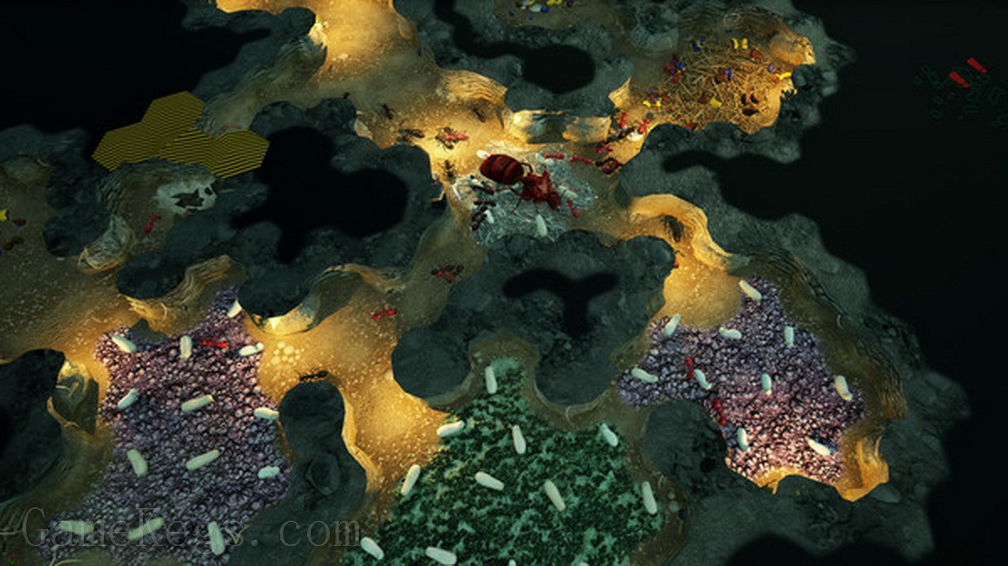 Moons Of Ardan