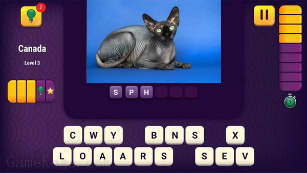 世界问答.World Quiz