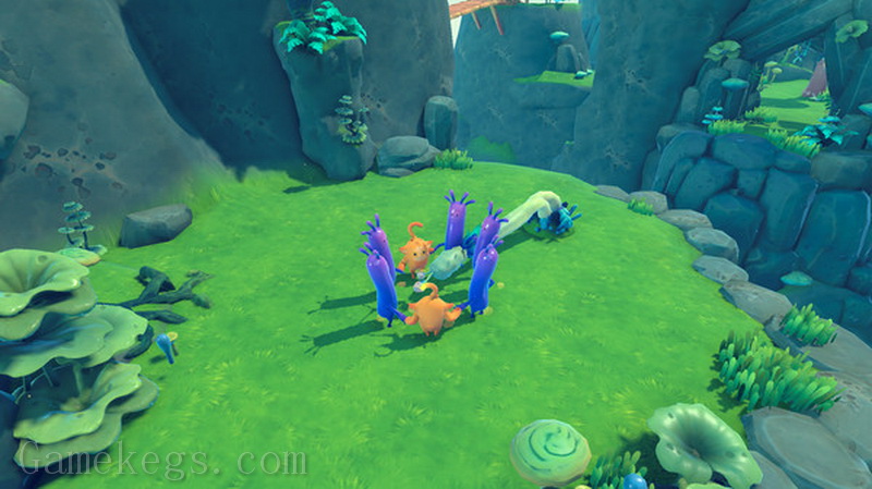 呆萌康茄.Derpy Conga