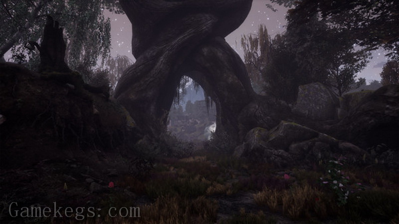 兰古纳的枯树.The Dead Tree of Ranchiuna