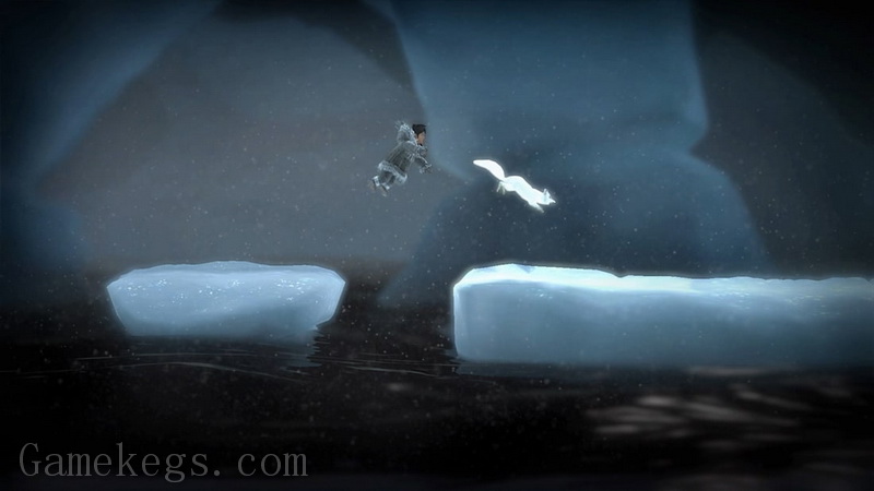 不再孤独：北极合集.Never Alone: Arctic Collection