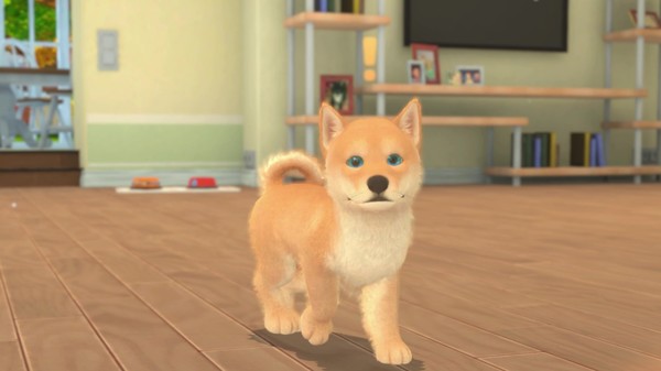 我的领域：小猫小狗.My Universe – Puppies & Kittens