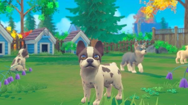 我的领域：小猫小狗.My Universe – Puppies & Kittens