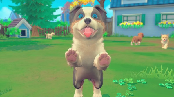 我的领域：小猫小狗.My Universe – Puppies & Kittens