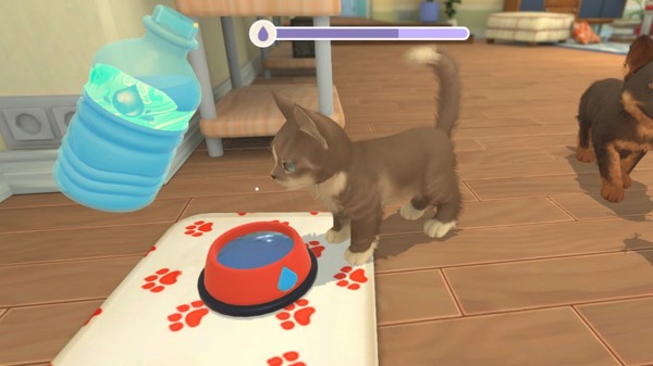 我的领域：小猫小狗.My Universe – Puppies & Kittens