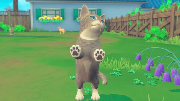 我的领域：小猫小狗.My Universe – Puppies & Kittens