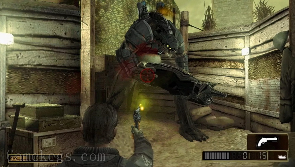 抵抗：惩罚.Resistance Retribution