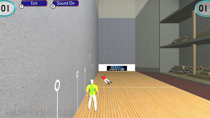 皮洛塔手球.HandBall Pelota