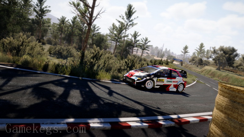 国际汽车联盟世界拉力锦标赛10.WRC 10 The Official Game
