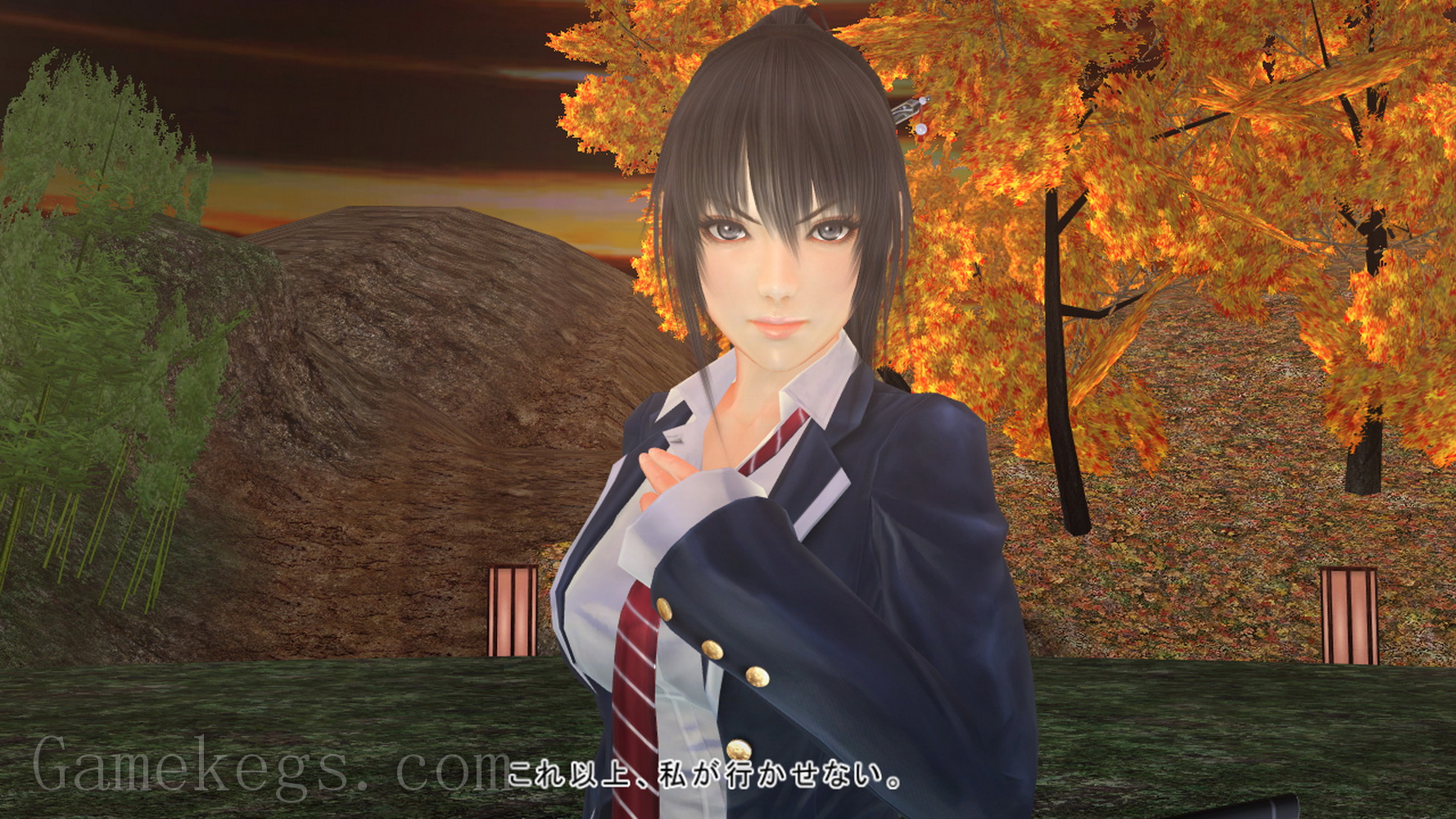 巫剑神威控.Mitsurugi Kamui Hikae