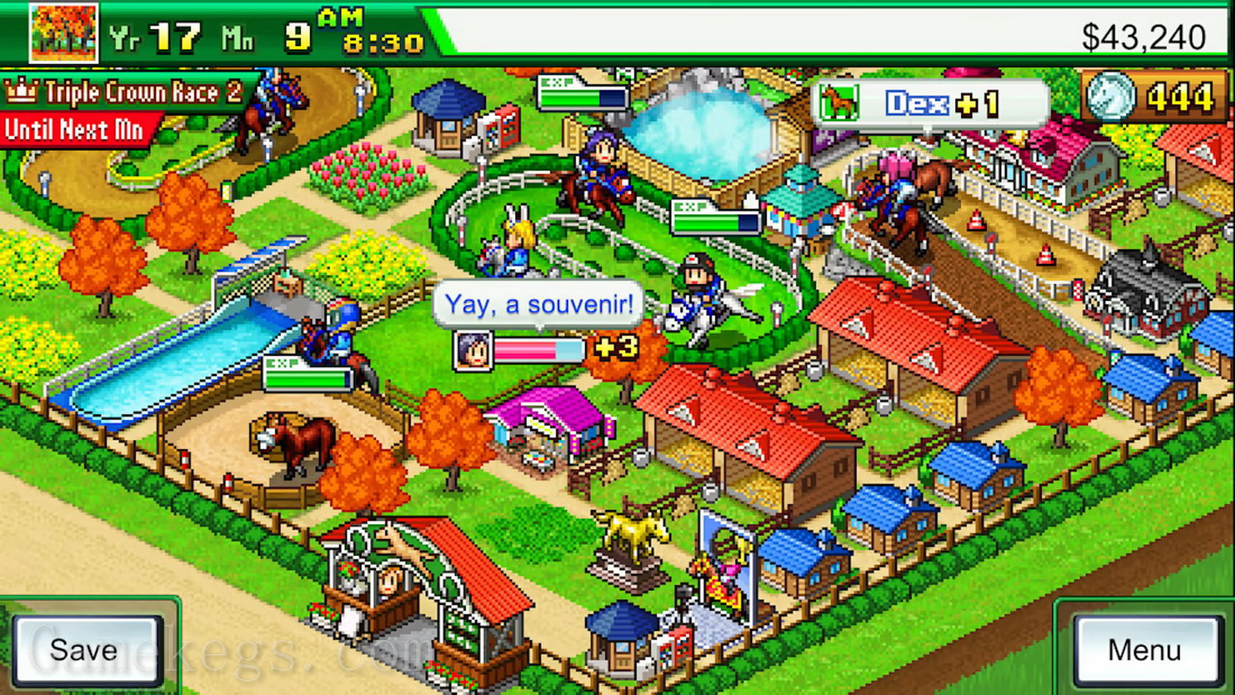 赛马牧场物语.Pocket Stables