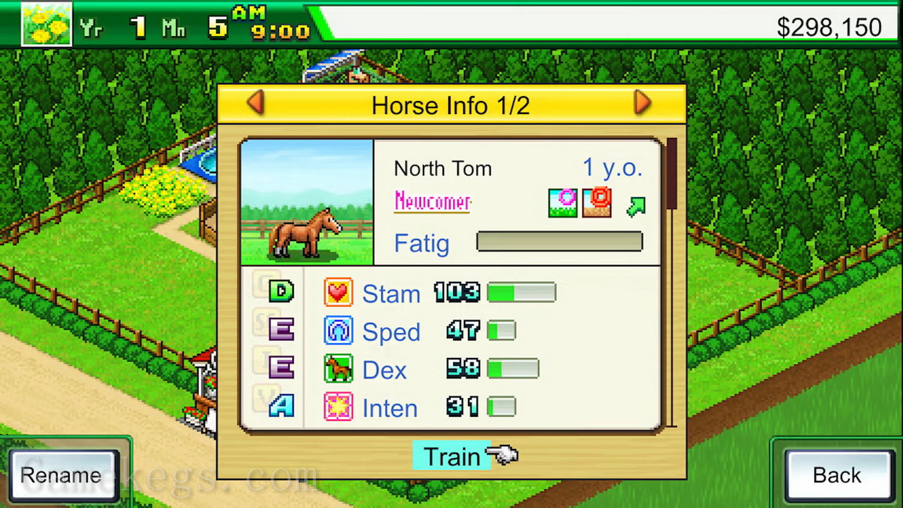 赛马牧场物语.Pocket Stables