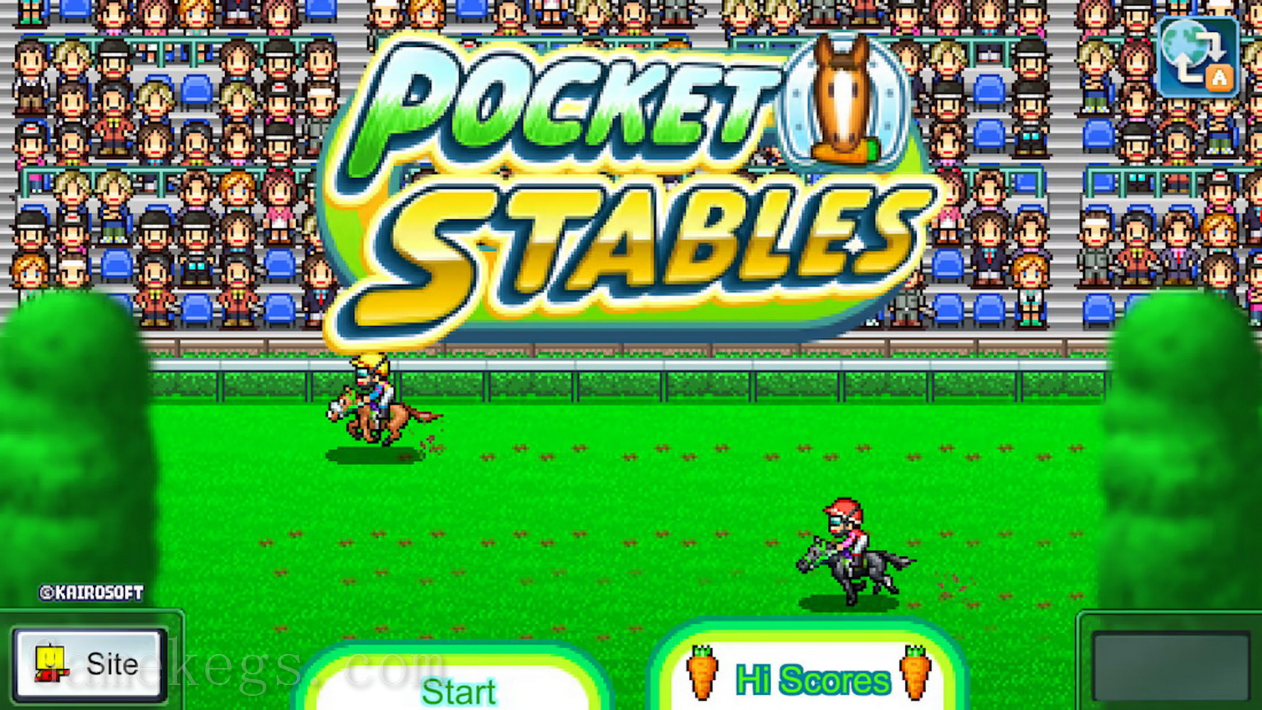 赛马牧场物语.Pocket Stables