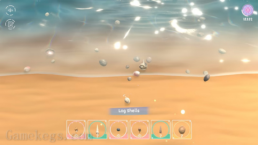 Seashell