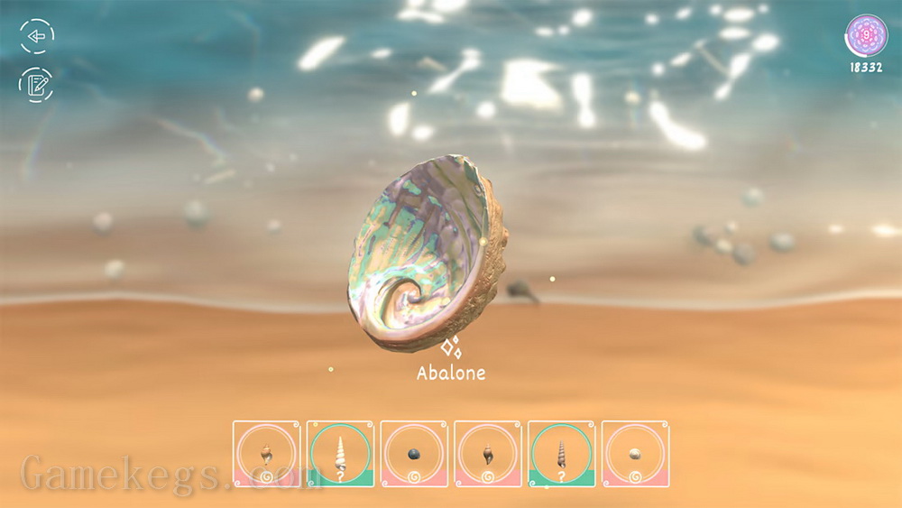 Seashell