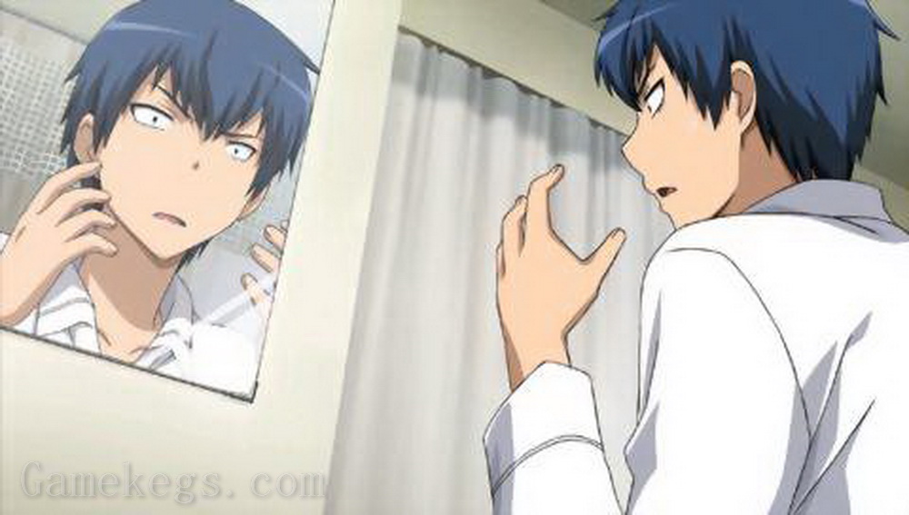 龙虎斗：携带版.Toradora! Portable