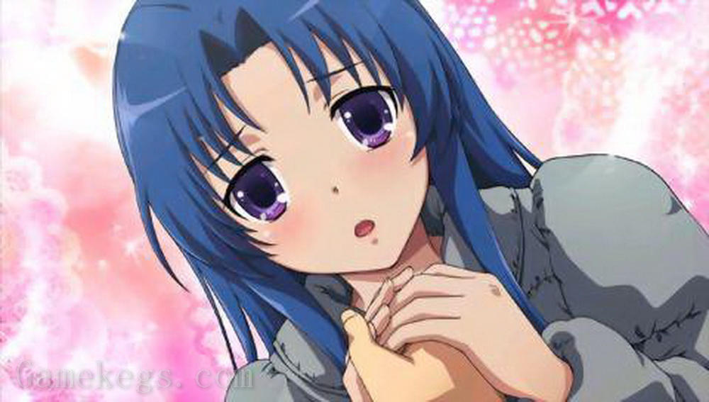 龙虎斗：携带版.Toradora! Portable