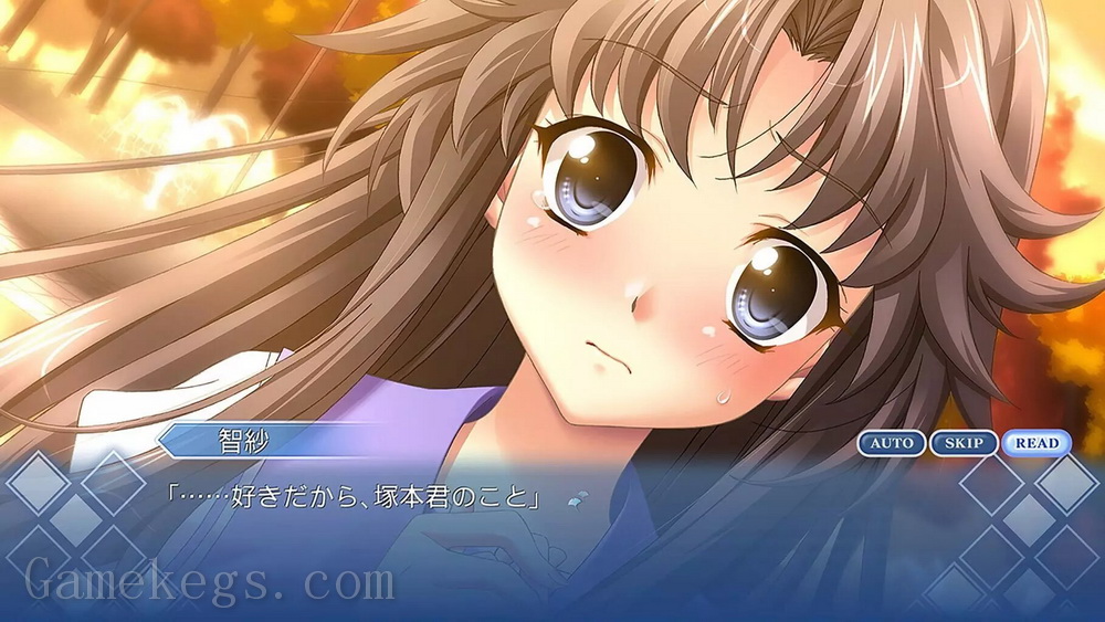 秋之回忆 6：三角波动.Memories Off 6: T-Wave