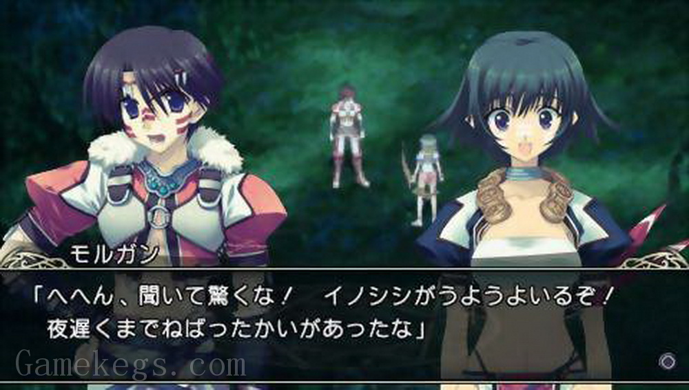 皇冠之泪：花冠大地携带版.Tears to Tiara: Kakan no Daichi Portable