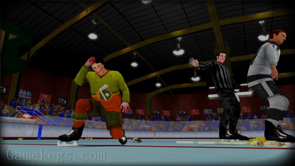Bush冰球联赛.Bush Hockey League