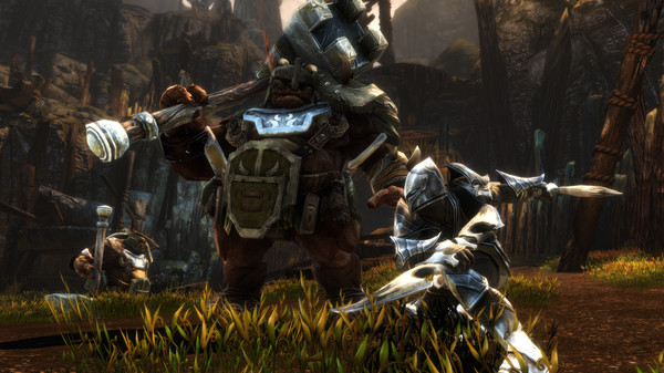 阿玛拉王国：惩罚 – 命运版.Kingdoms of Amalur: Re-Reckoning FATE Edition
