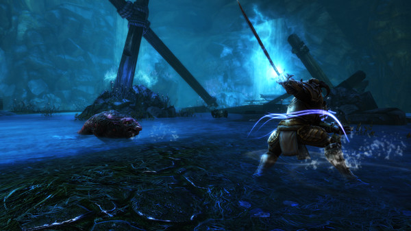阿玛拉王国：惩罚 – 命运版.Kingdoms of Amalur: Re-Reckoning FATE Edition