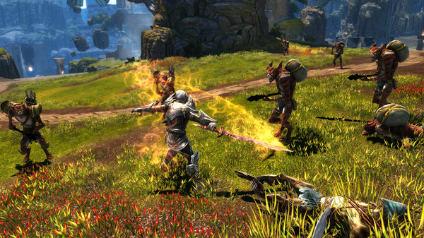 阿玛拉王国：惩罚 – 命运版.Kingdoms of Amalur: Re-Reckoning FATE Edition