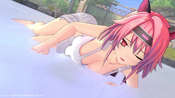 闪乱忍忍忍者大战战机少女：少女们的响艳.Neptunia x SENRAN KAGURA: Ninja Wars