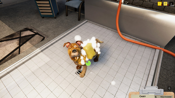 动物收容所.Animal Shelter Simulator