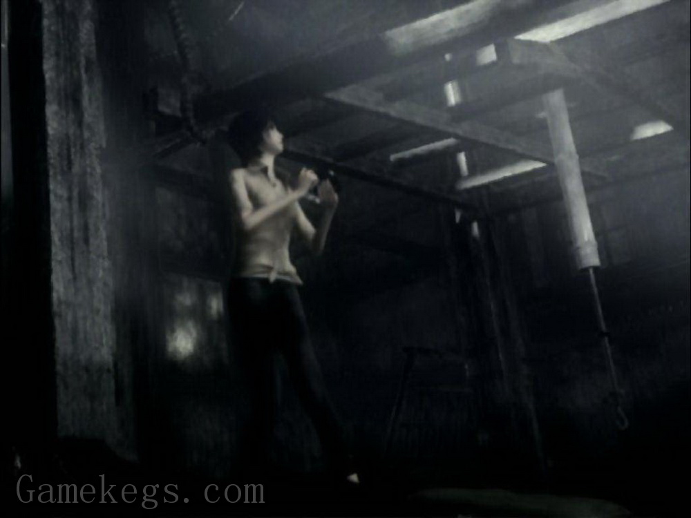 零：刺青之声.Project Zero 3: The Tormented