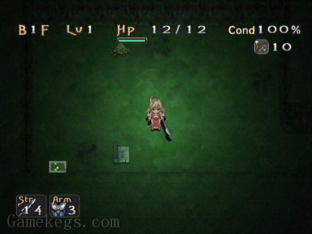 浪人传奇：心之迷宫.Rogue Hearts Dungeon