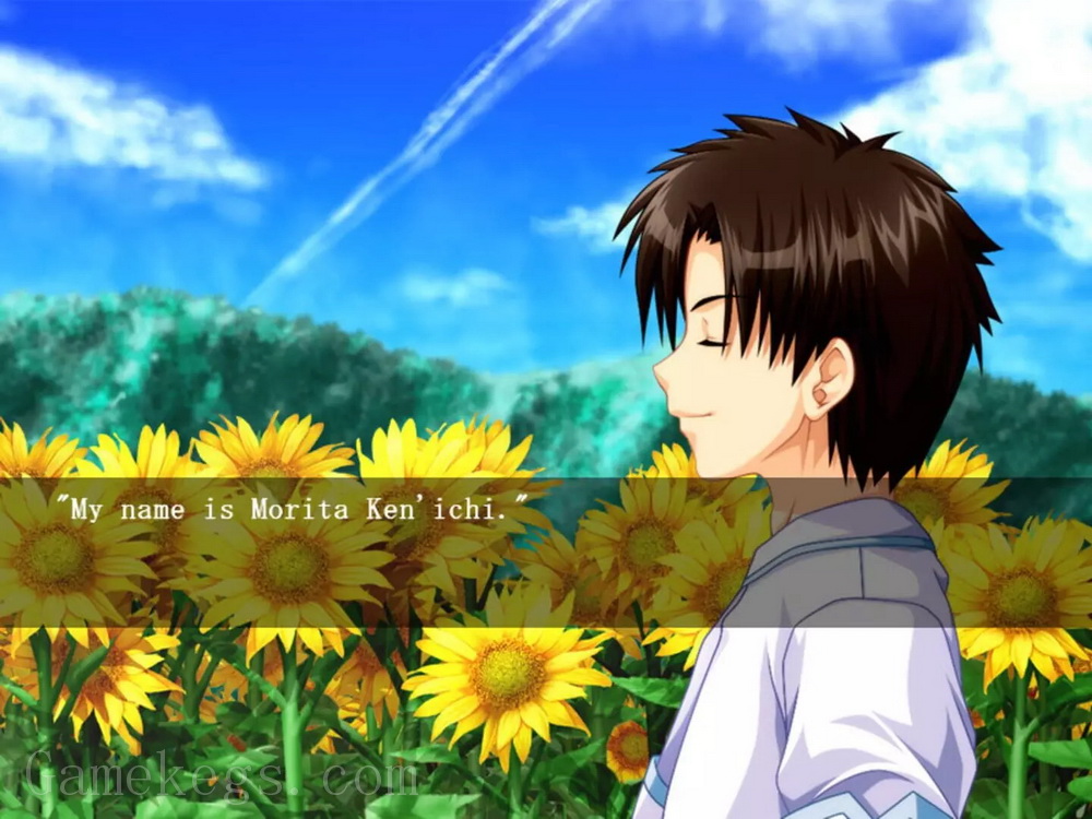 车轮之国：向日葵的少女.Sharin no Kuni: The Girl Among the Sunflowers